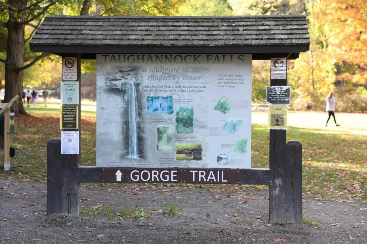 At Taughannock Falls 4* Ithaca