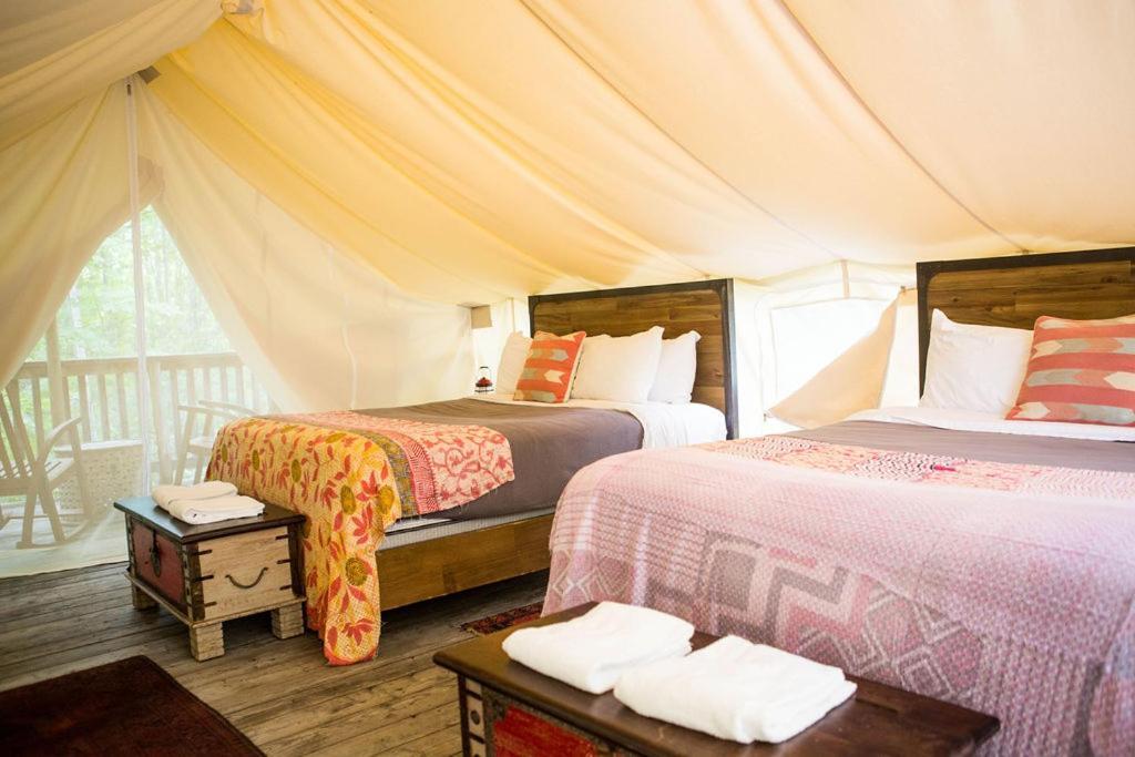 Firelight Camps