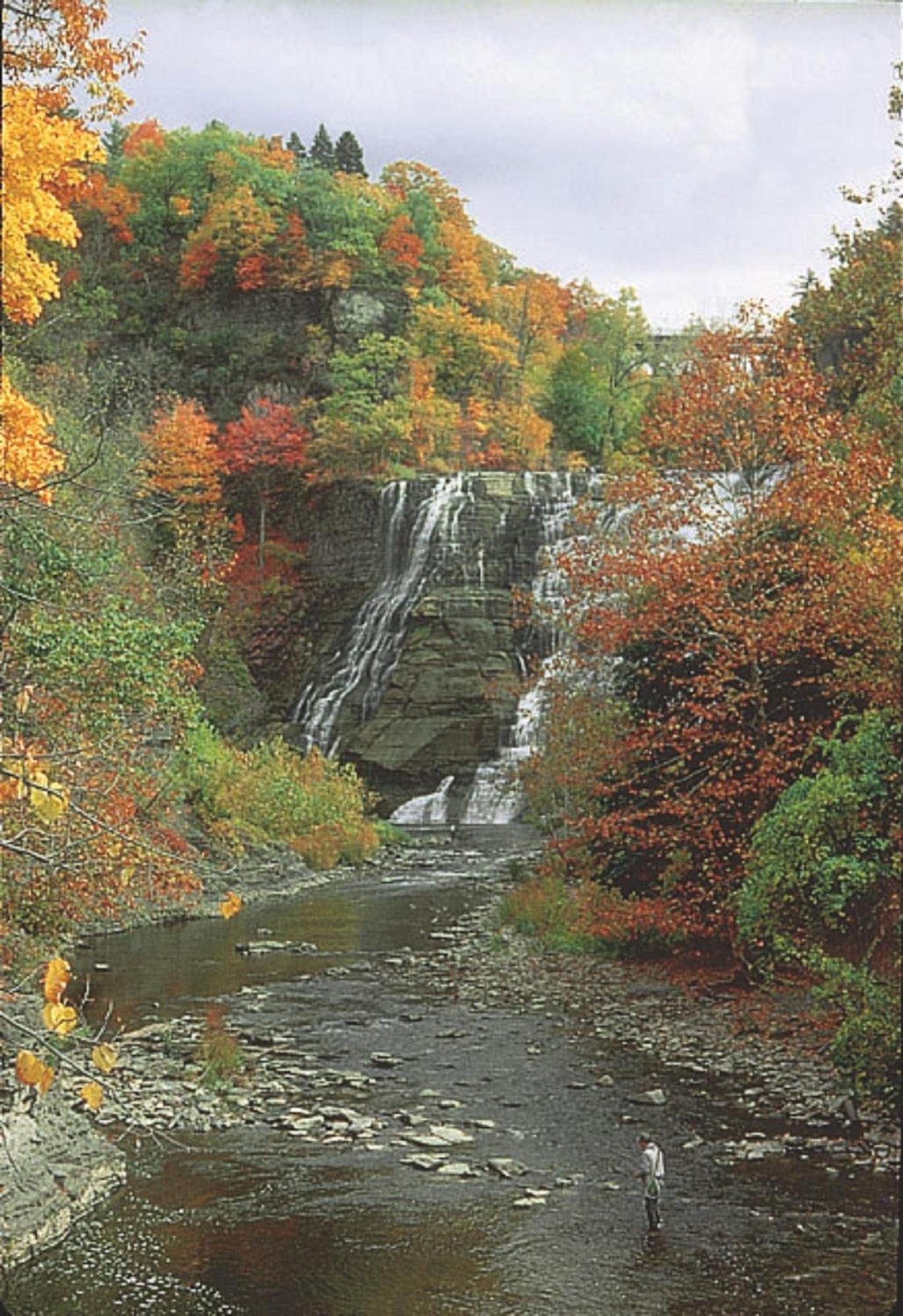 Meadow Court - 2* Ithaca