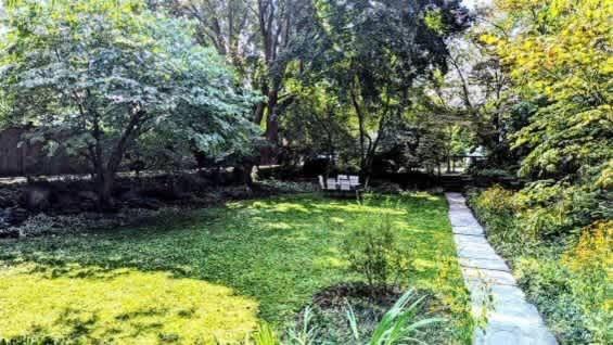 Historic Dewitt Park House With Yard In Downtown *
