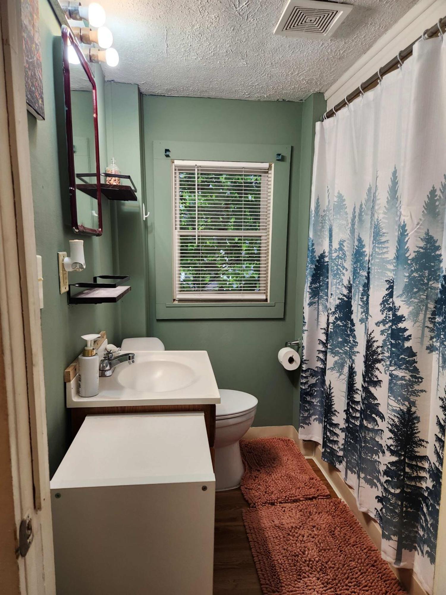 Cozy 3 Bedroom House In Downtown * Ithaca