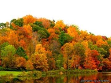 The Springwater Ithaca