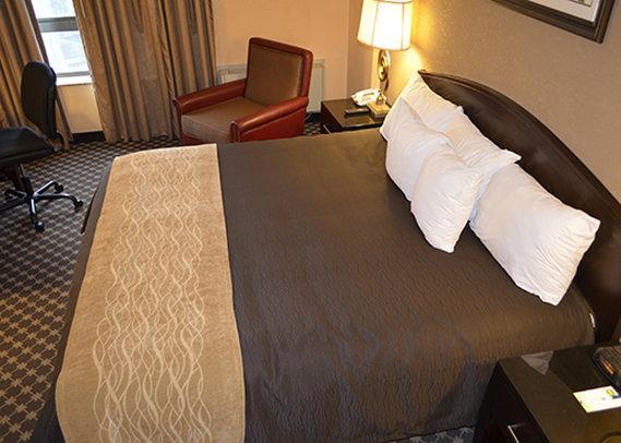 Quality - Area Inn 2*