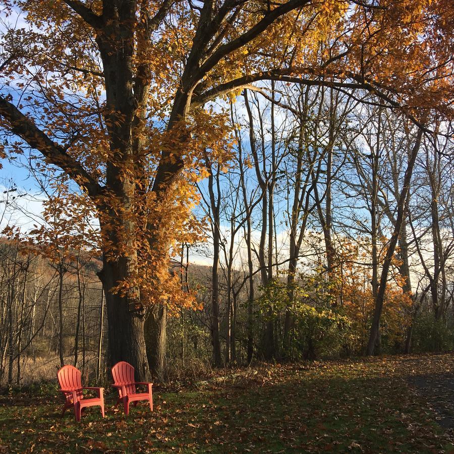 The Grayhaven * Ithaca