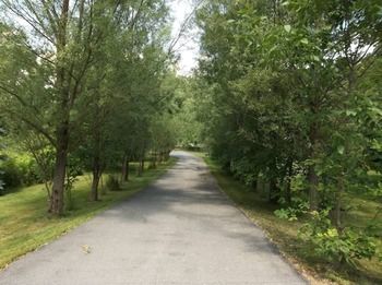 Bunny Trail