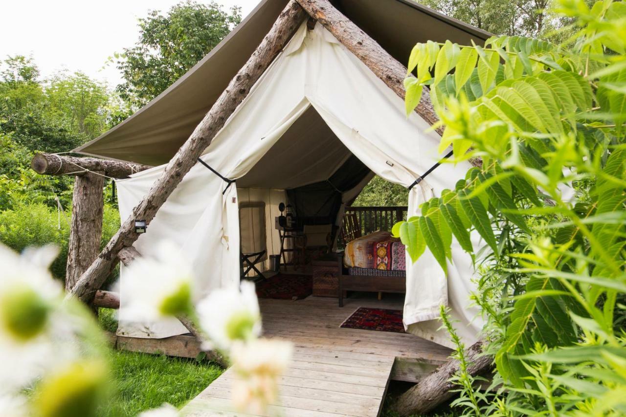 Luxury tent Firelight Camps