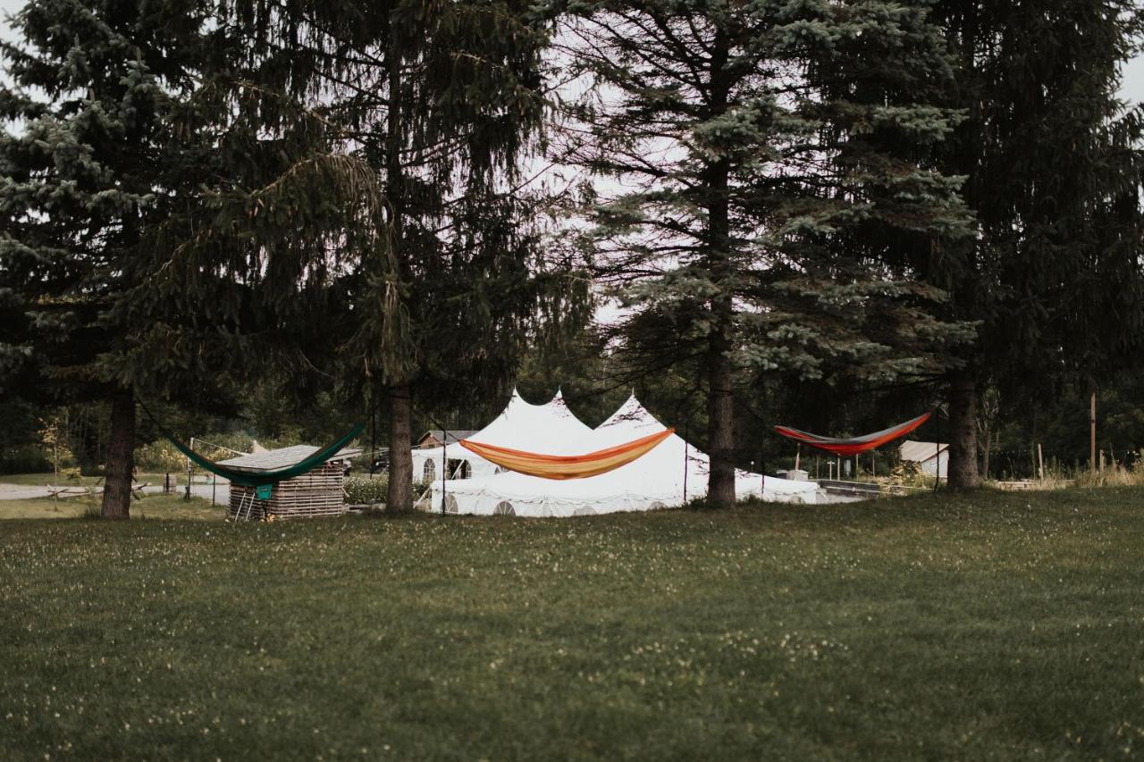 Firelight Camps