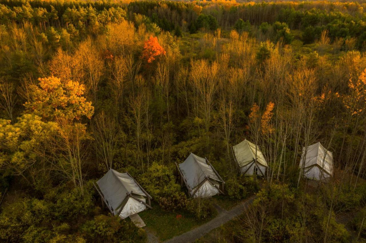 Tenda de luxo Firelight Camps 2*