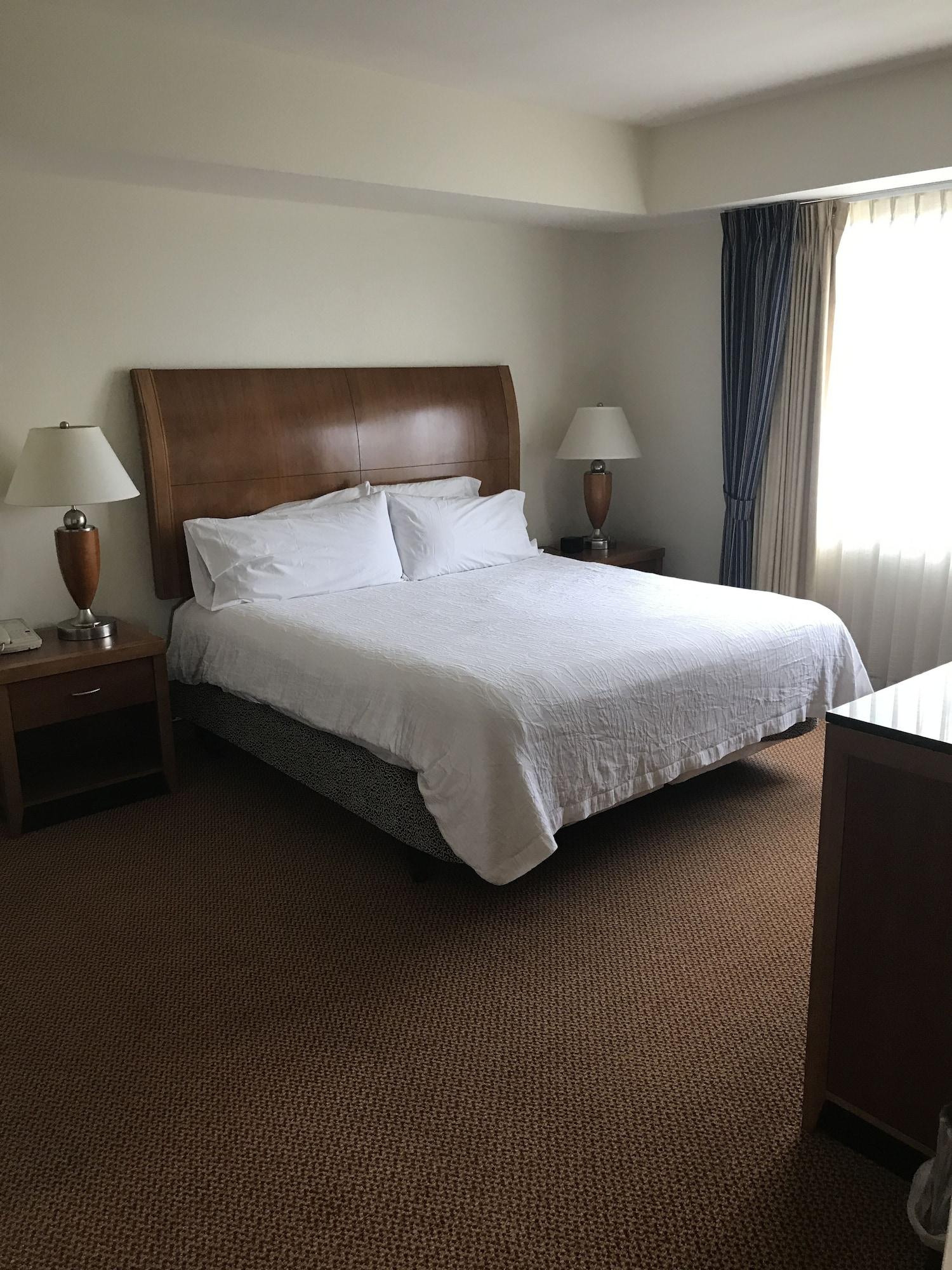 Hilton Garden Inn Ithaca
