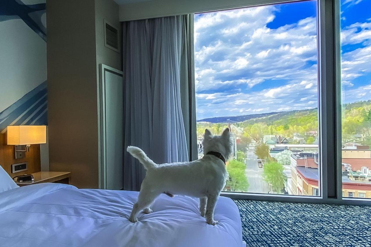 Marriott Downtown On The Commons Hotel 4*